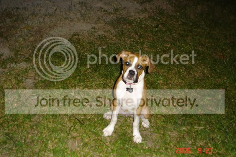 DSC01412.jpg