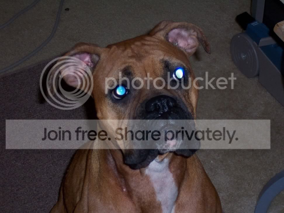 pics014.jpg