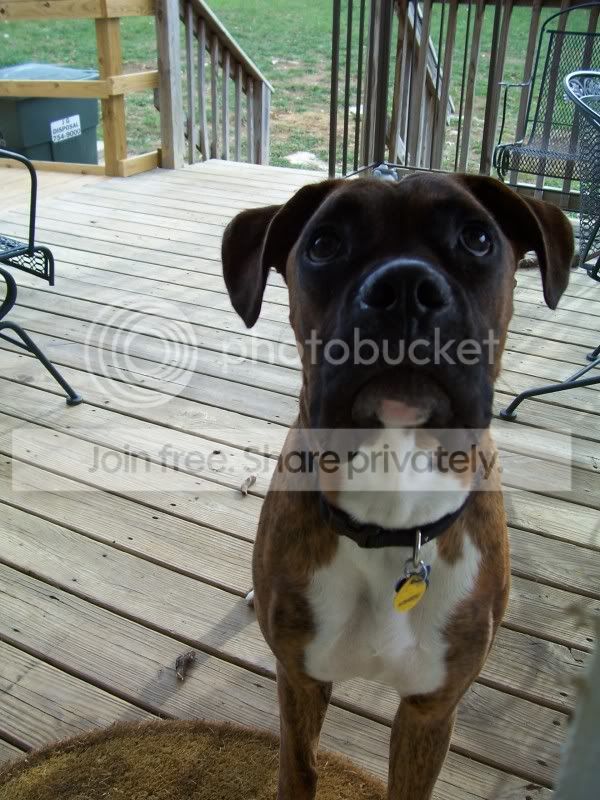 Axle7months006.jpg