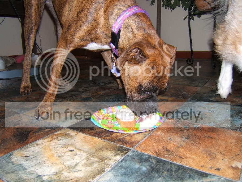 BELLASB-DAYTREAT.jpg