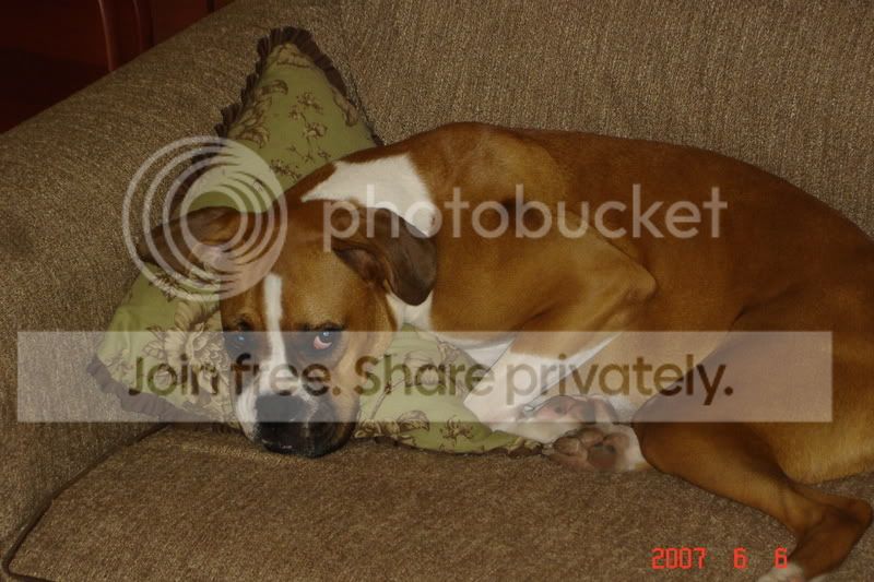 DSC01851.jpg