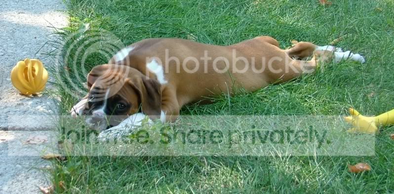 2010_0828Raine0010-Changed.jpg