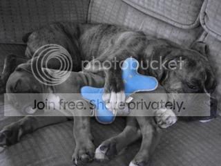 IMG_5337.jpg