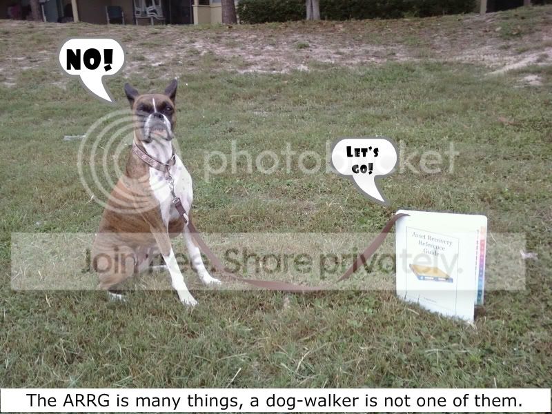 ARRGDogwalk-1.jpg