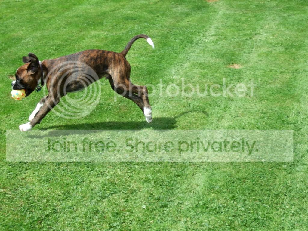 DSCF2172.jpg