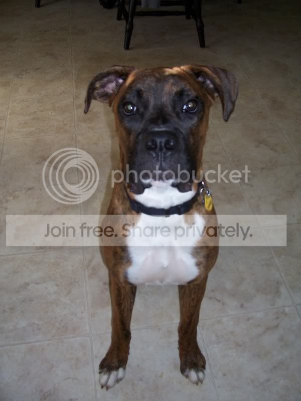 Axle7months004.jpg