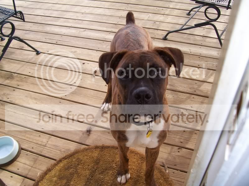 Axle7months007.jpg