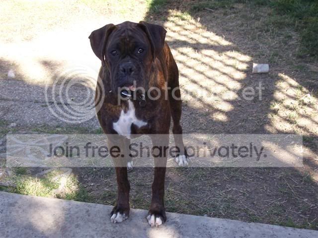 000_0493Small.jpg