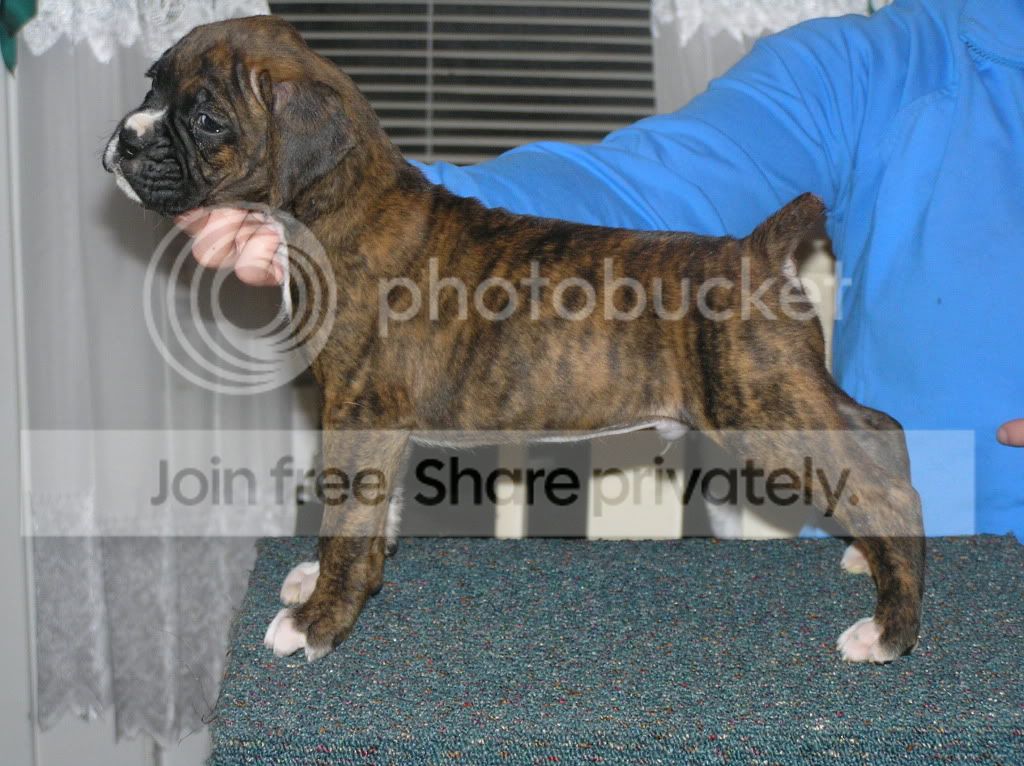 7Body.jpg