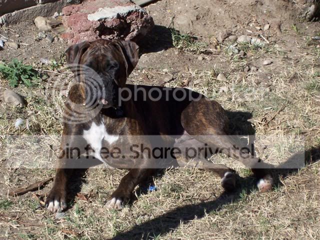 000_0489Small.jpg